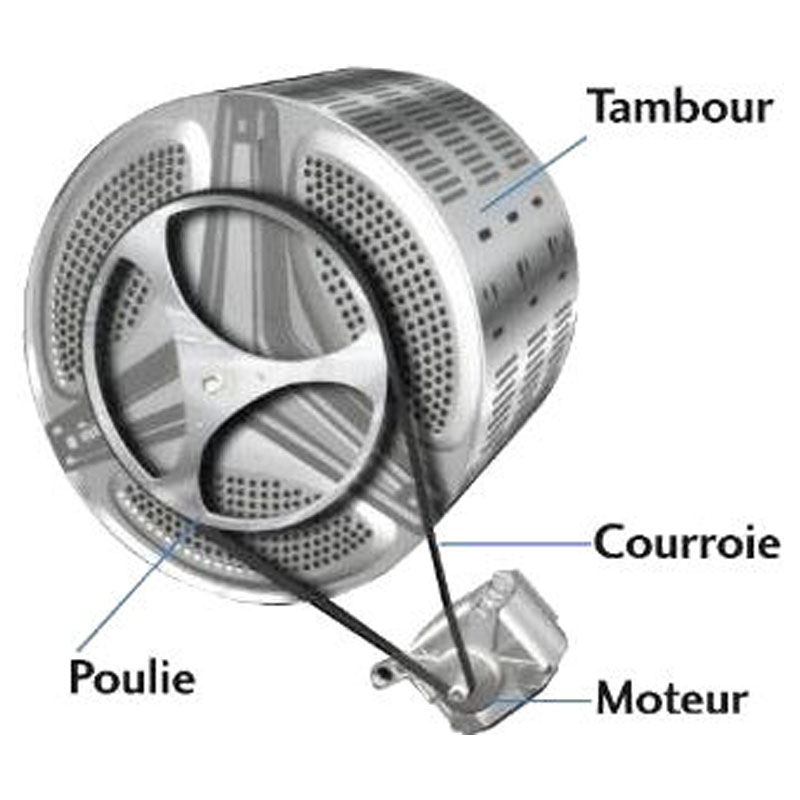 Courroie machine à laver 